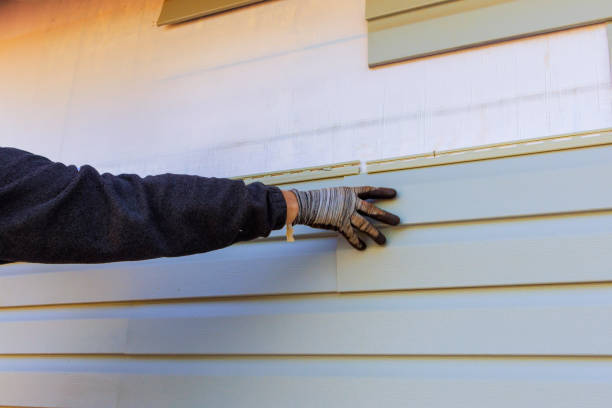 Best Custom Siding Design  in Trenton, FL